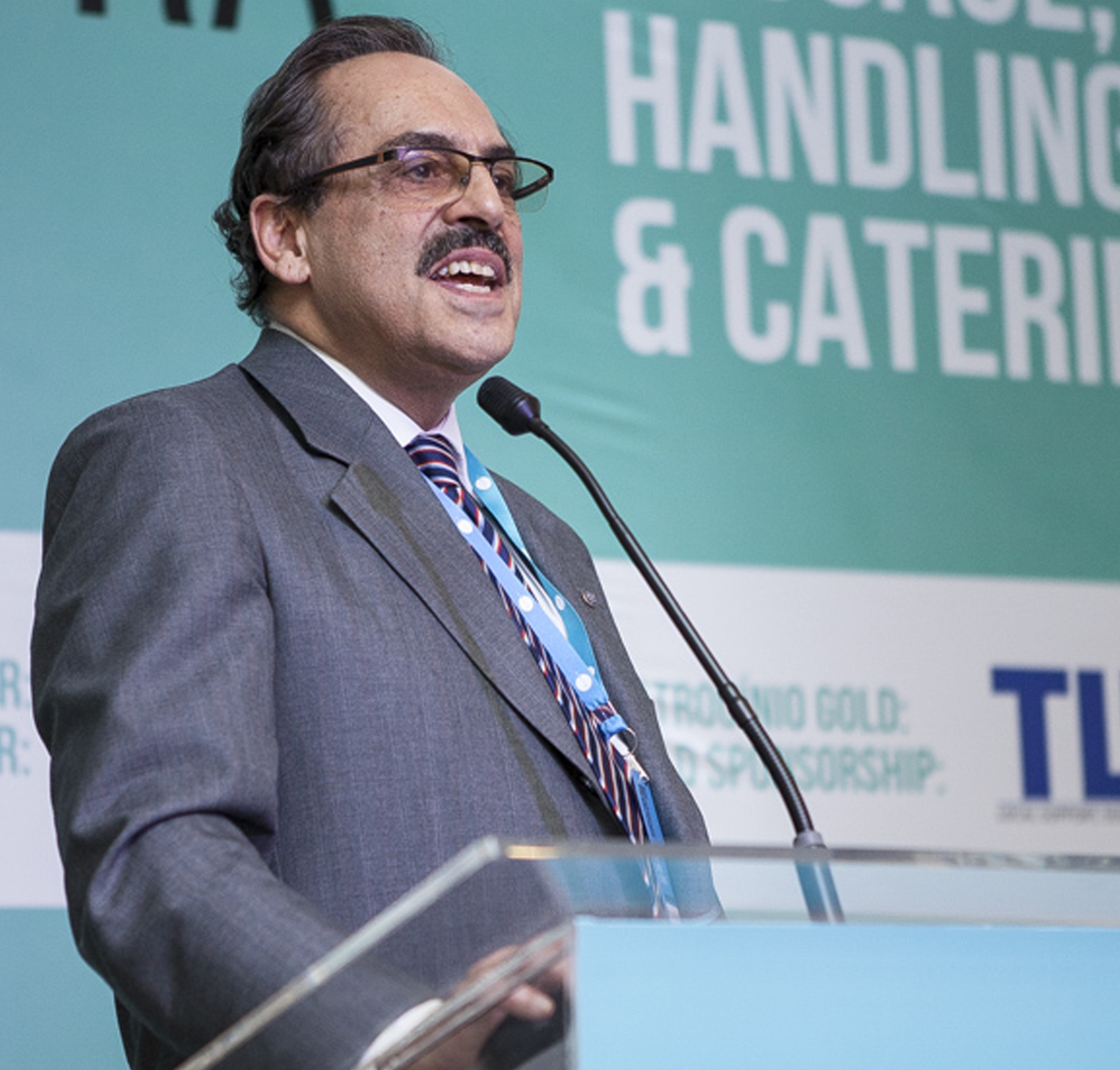 Seminario Luggage, Handling and Cathering - Plataforma Airport I